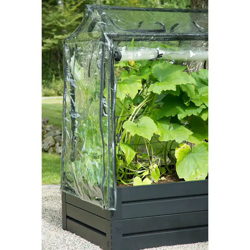 Drivhus Flexigarden för Odlingslåda Svart