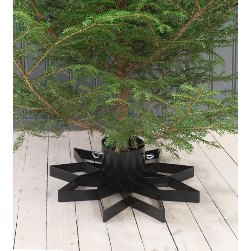 Julgransfot Skotte Garden Victoria