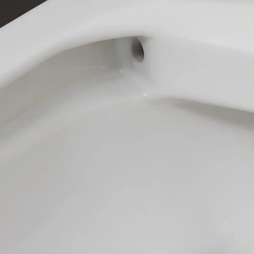 Vägghängd Toalettstol Duravit D-Code Rimless