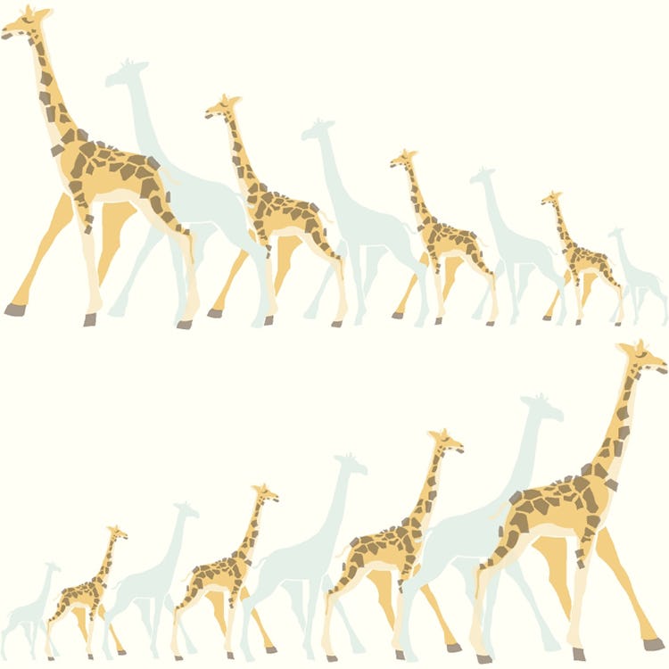 Tapet York Wallcoverings Dwell Studio Baby & Kids DW2360