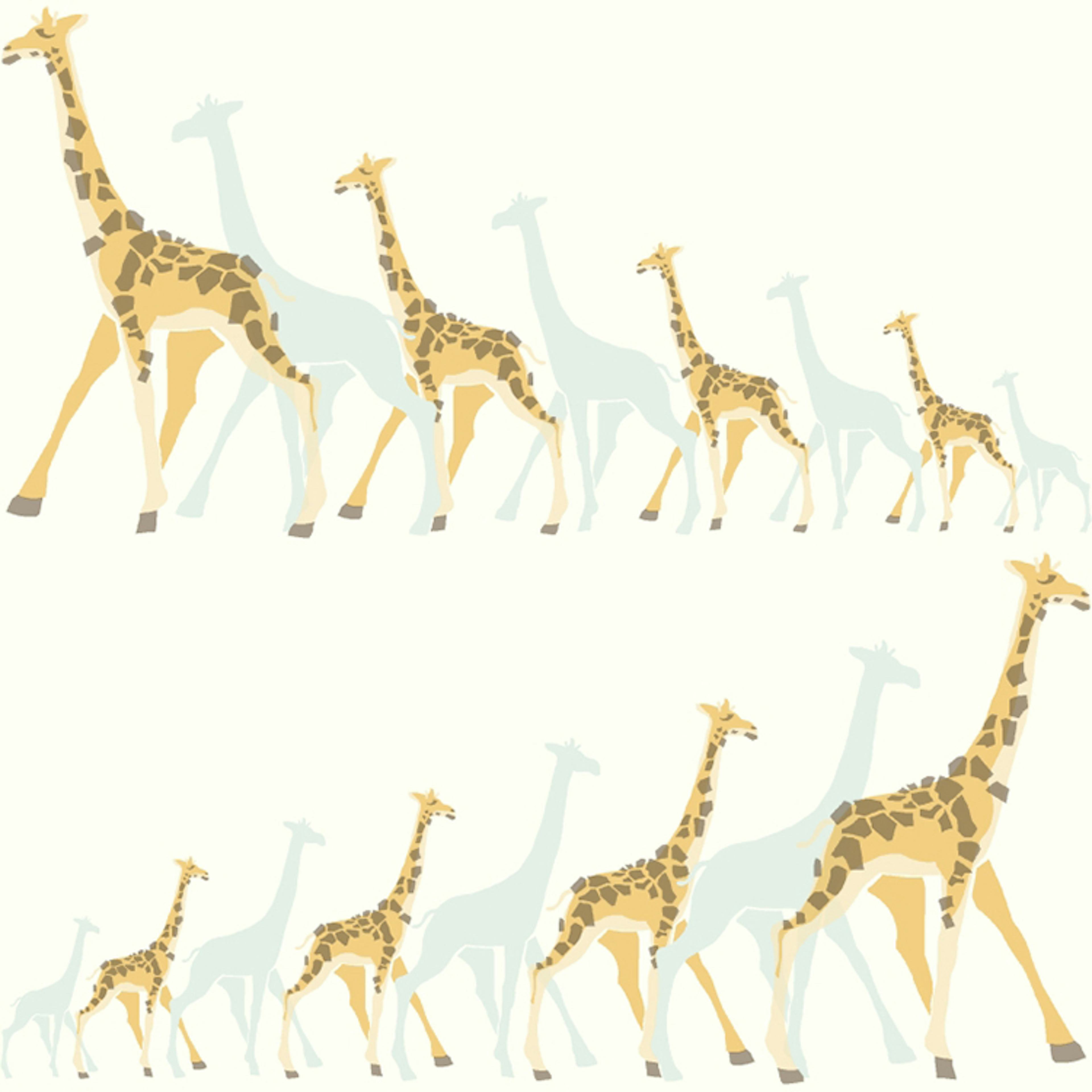 Tapet York Wallcoverings Dwell Studio Baby & Kids DW2360