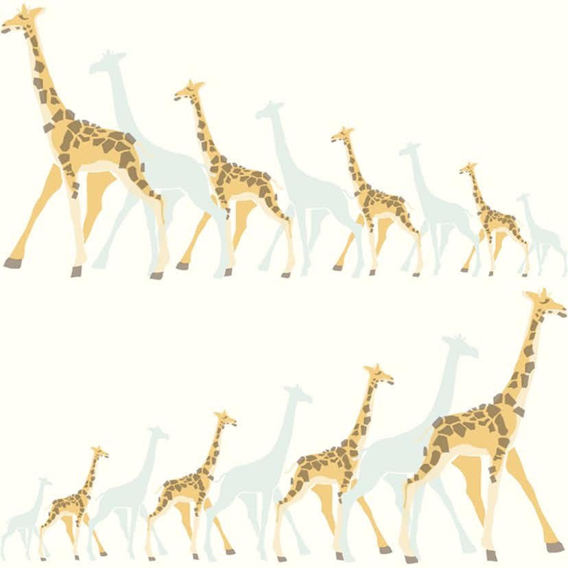 Tapet York Wallcoverings Dwell Studio Baby & Kids DW2360