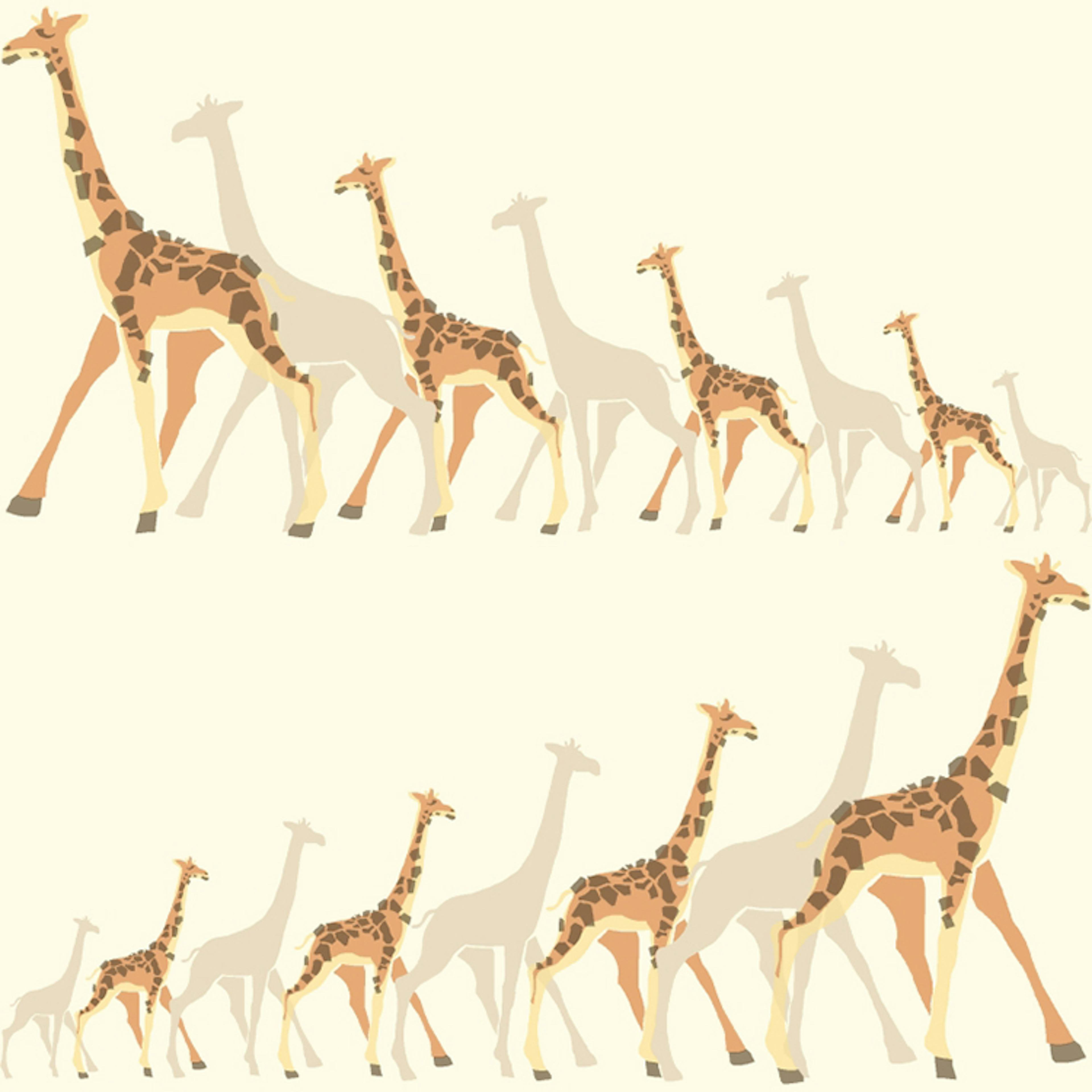 Tapet York Wallcoverings Dwell Studio Baby & Kids DW2361