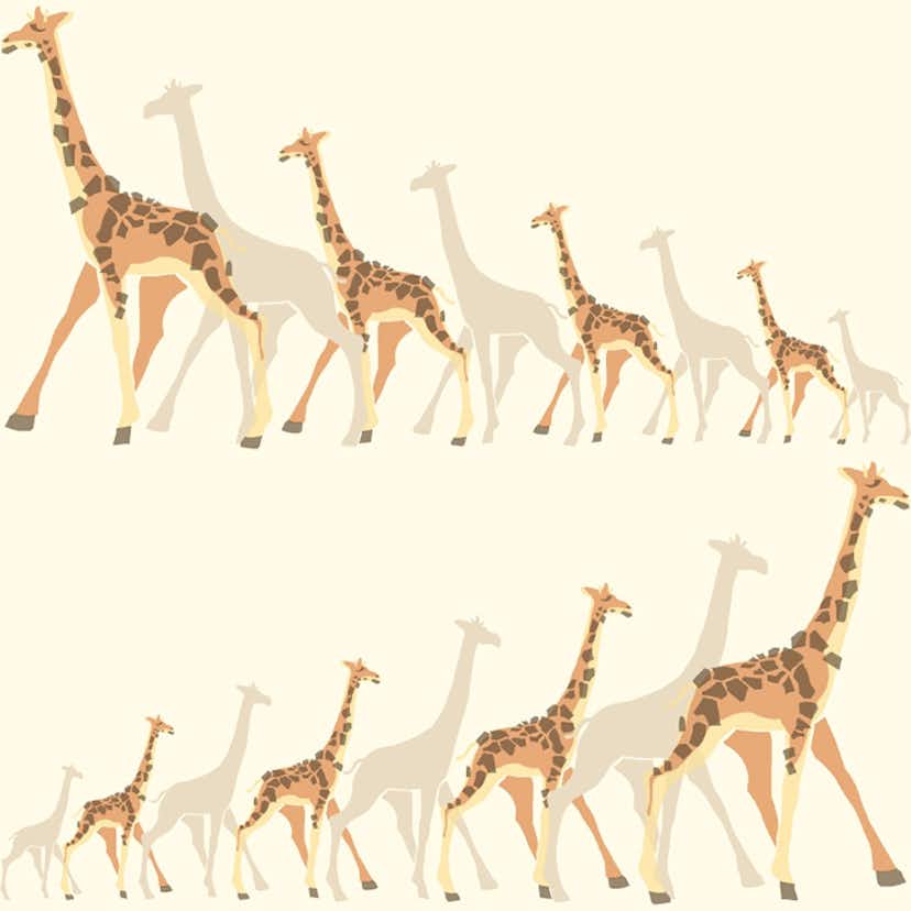 Tapet York Wallcoverings Dwell Studio Baby & Kids DW2361