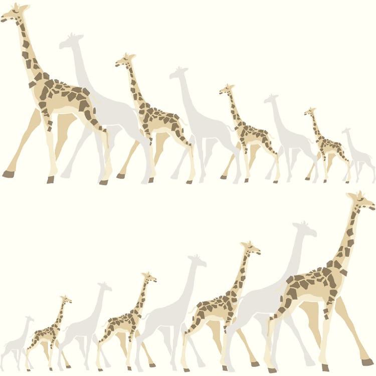 Tapet York Wallcoverings Dwell Studio Baby & Kids DW2362