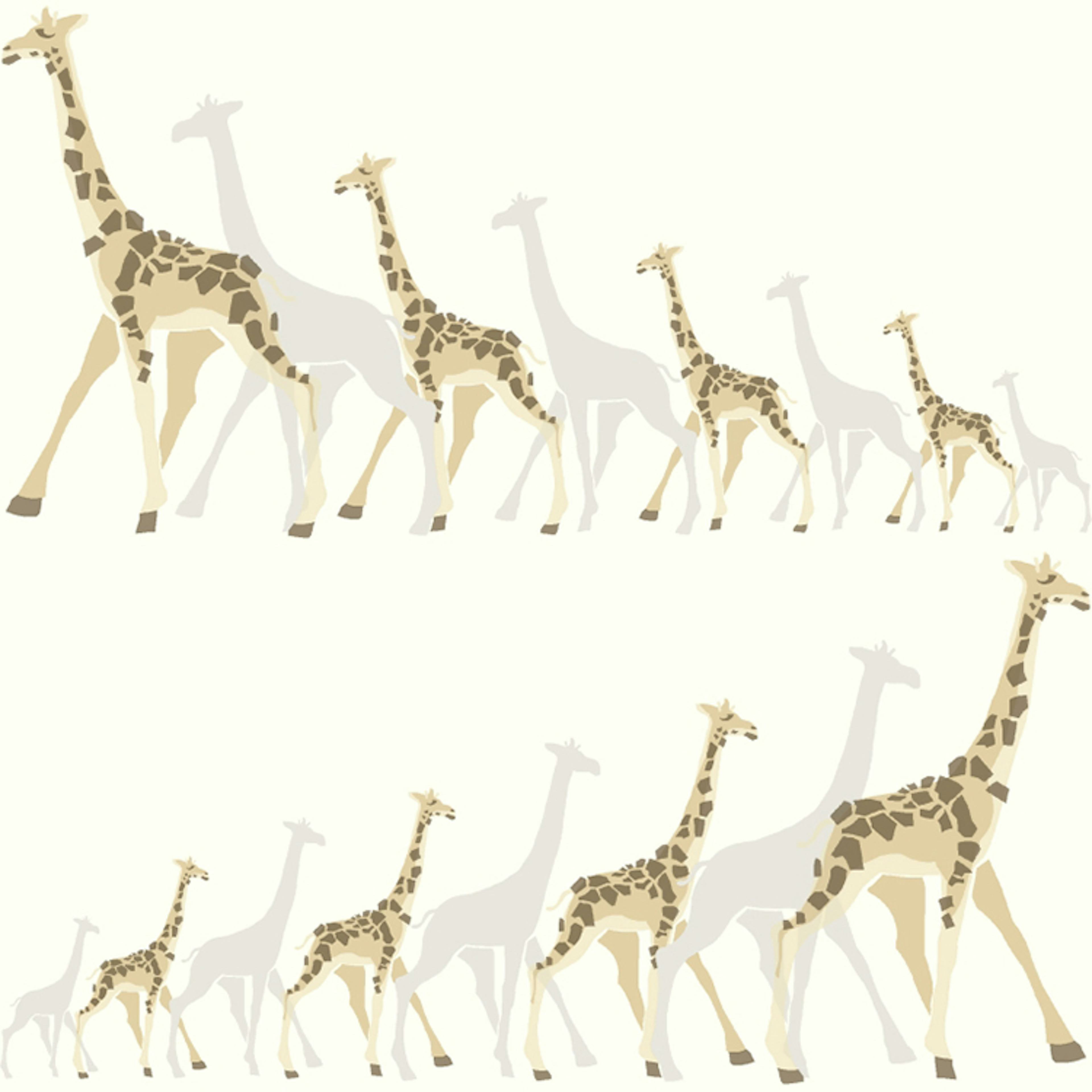 Tapet York Wallcoverings Dwell Studio Baby & Kids DW2362