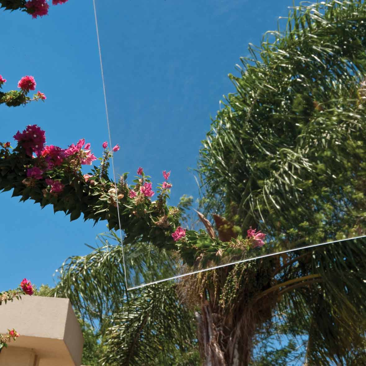 Entrétak gop Lucida