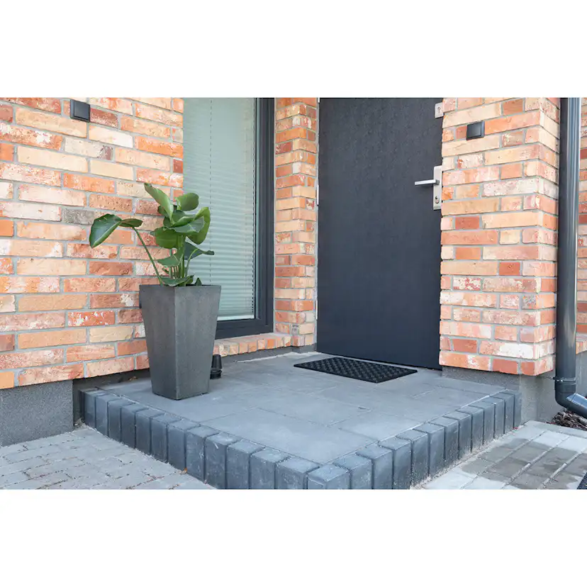 Blomkruka Recal Sonata