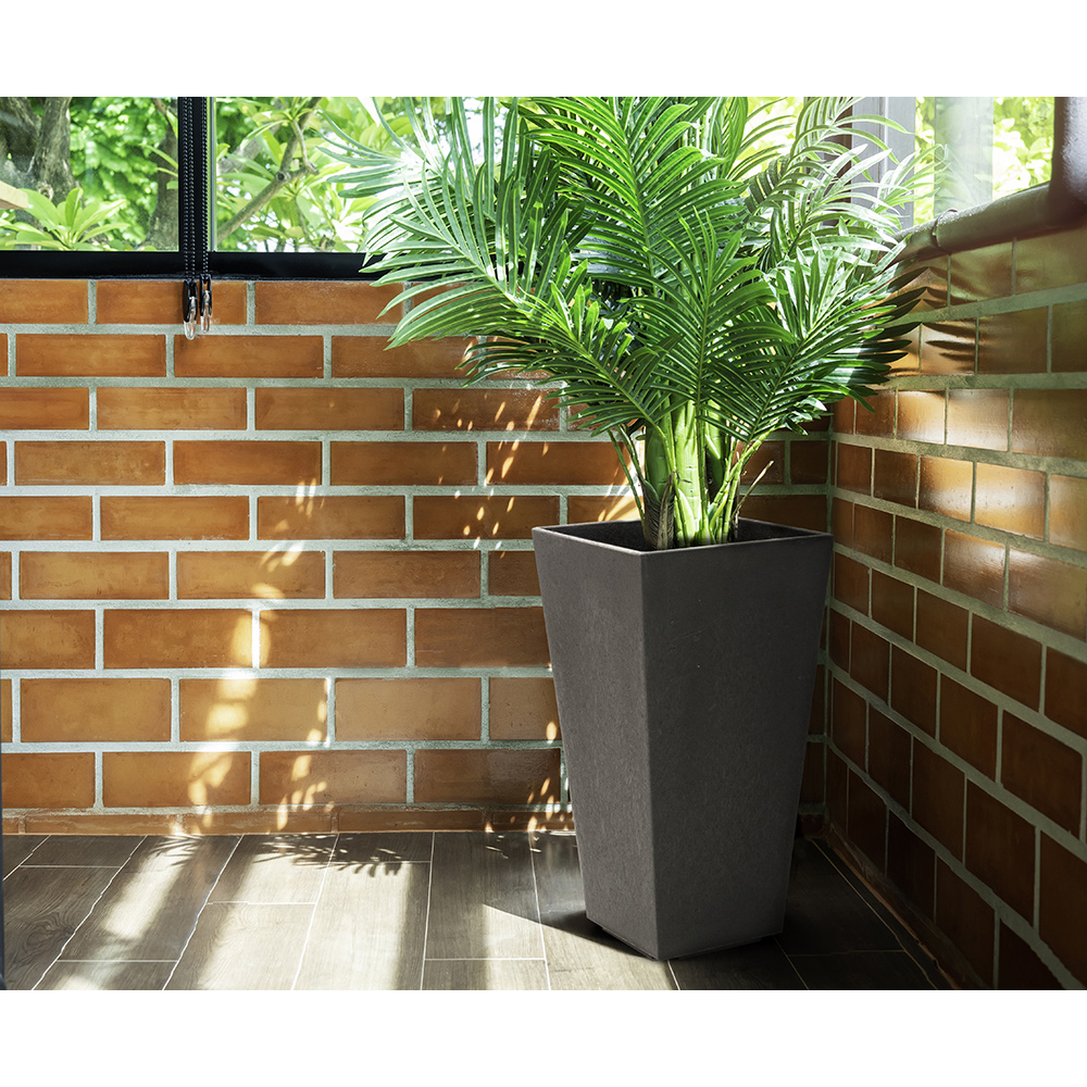 Blomkruka Recal Sonata