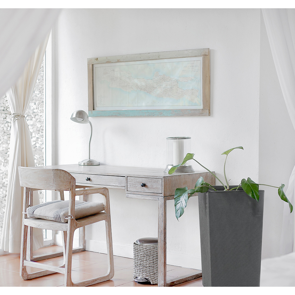 Blomkruka Recal Horizon