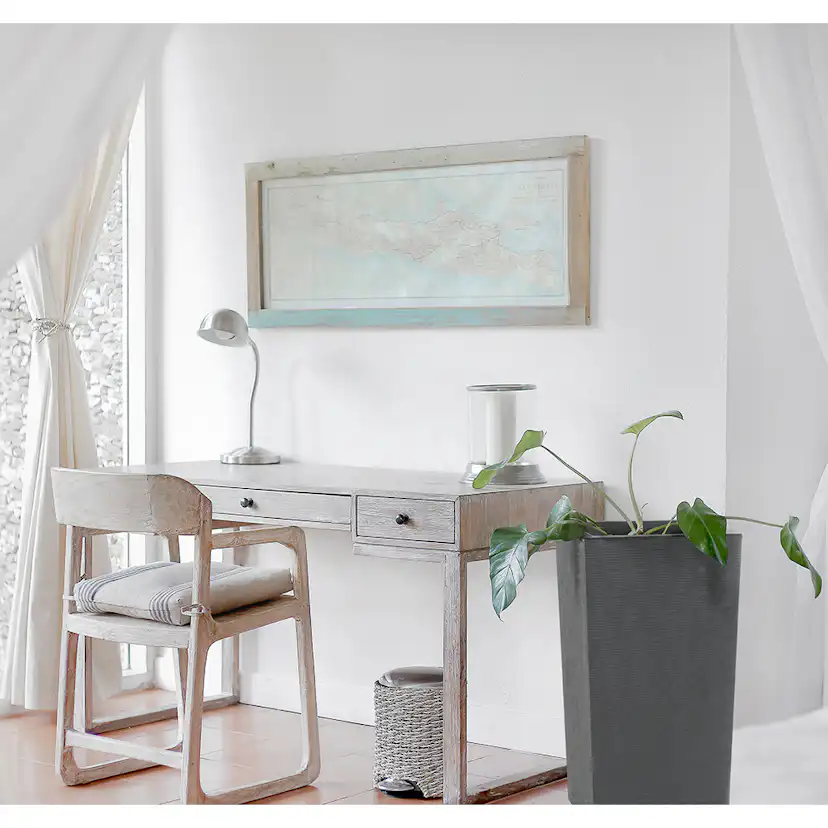 Blomkruka Recal Horizon