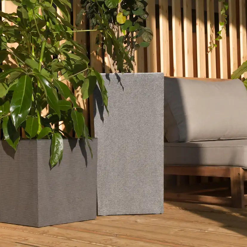 Blomkruka Recal Horizon