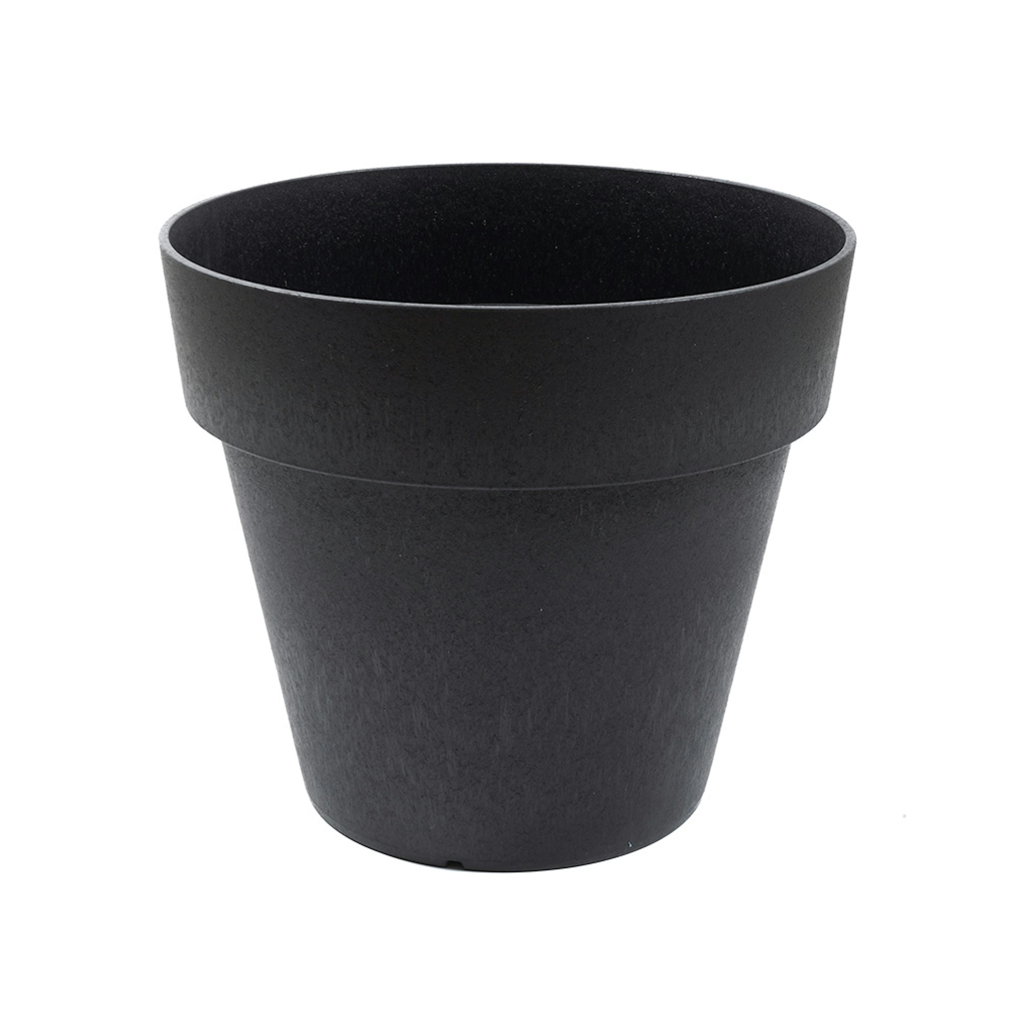 Blomkruka Recal Bariton