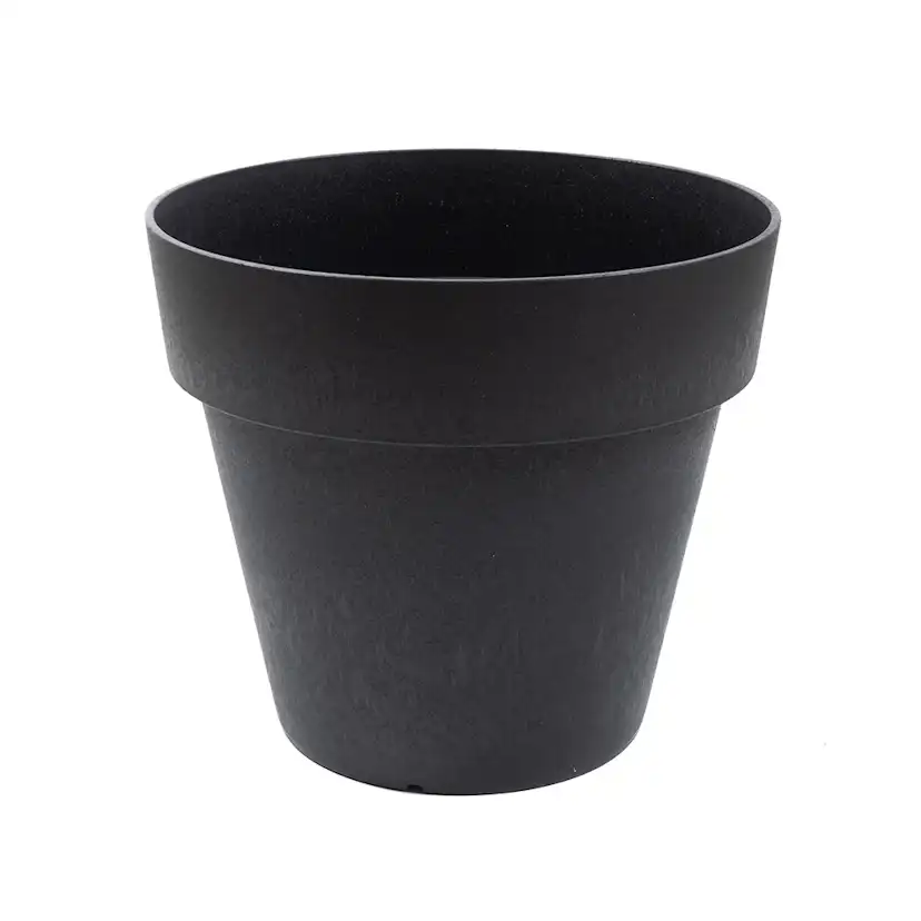 Blomkruka Recal Bariton