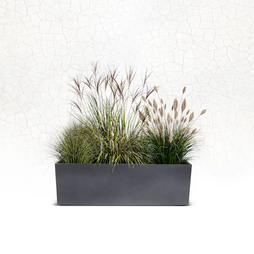 Blomkruka Recal Sonata Tabletop