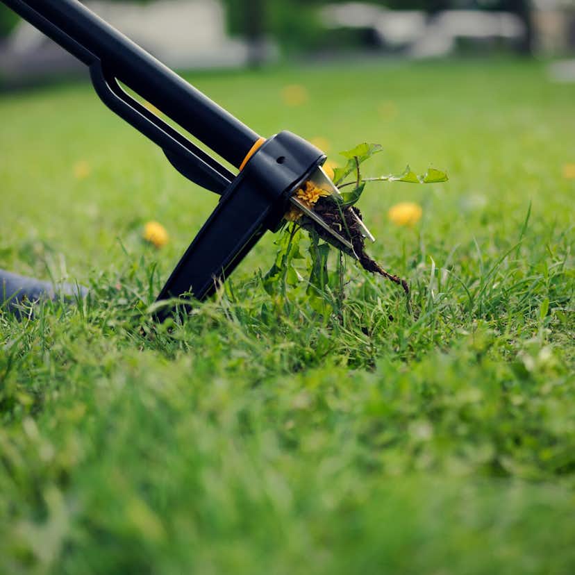 Ogräsupptagare Fiskars Xact