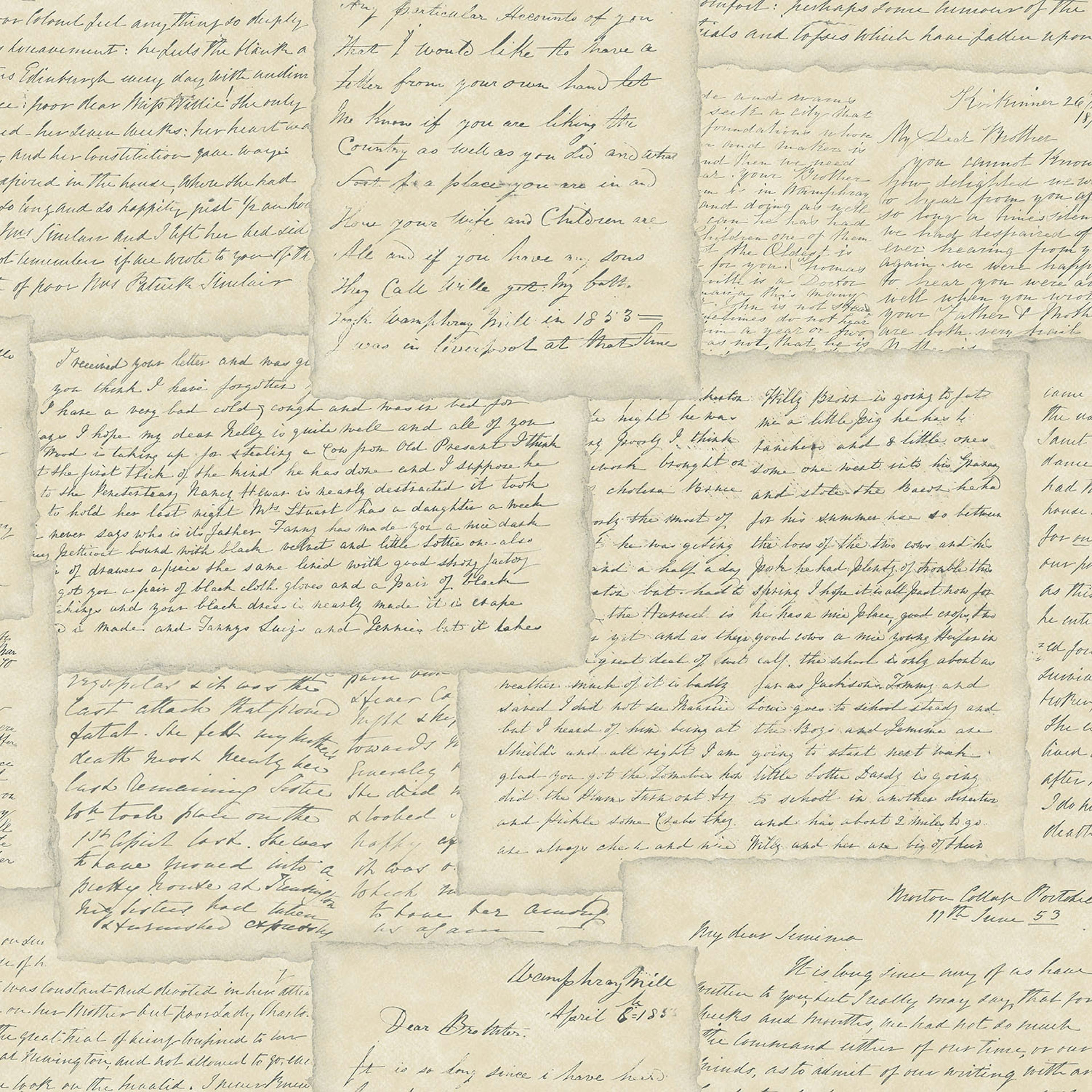 Tapet Galerie Wallcoverings Family Letters G56123