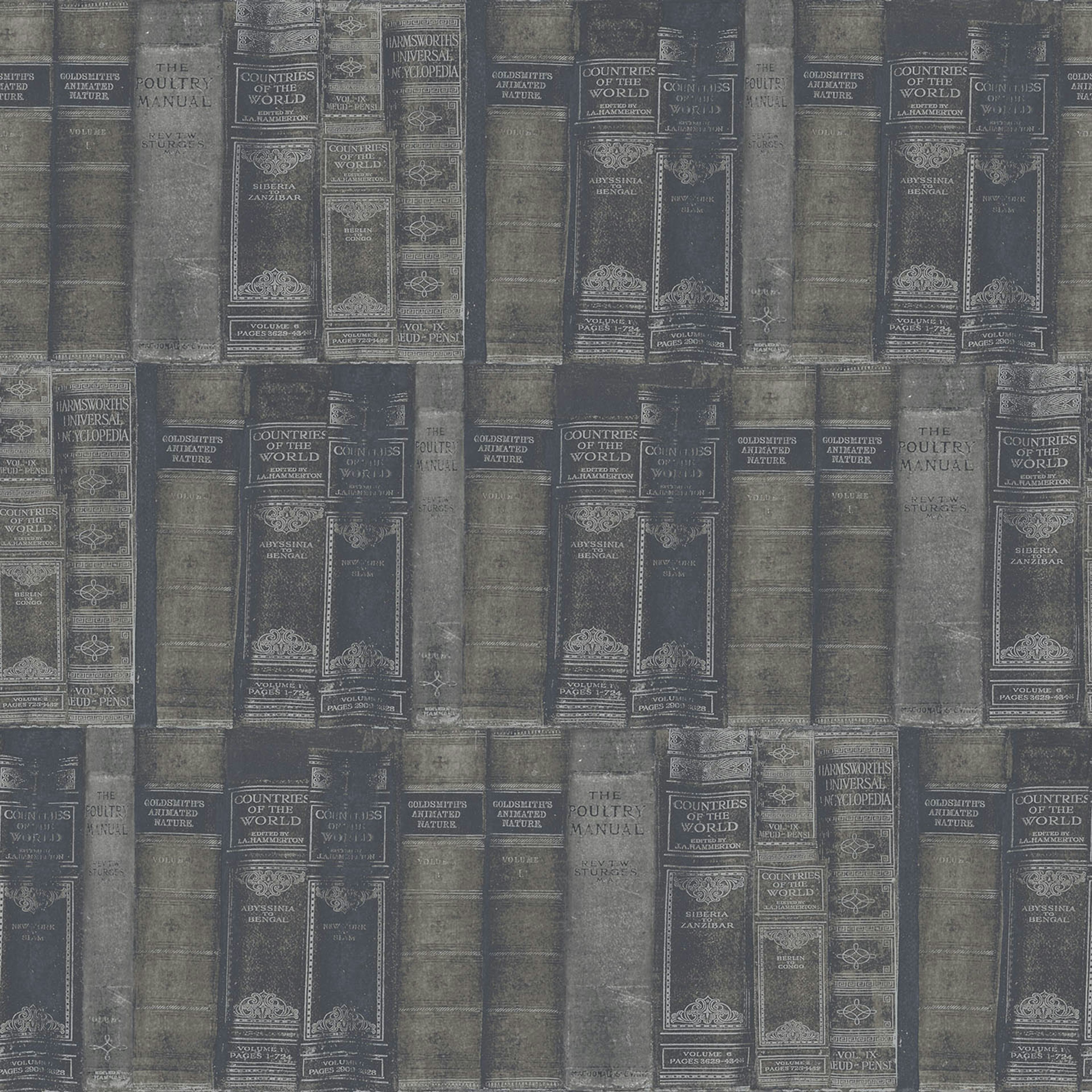 Tapet Galerie Wallcoverings Library Books G56134