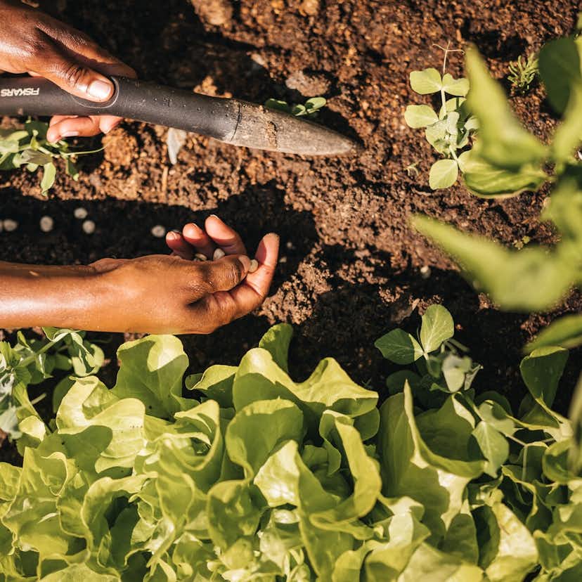 Planteringssticka Fiskars Solid