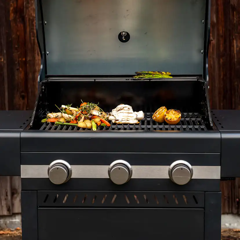 Gasolgrill Sunwind Vilja