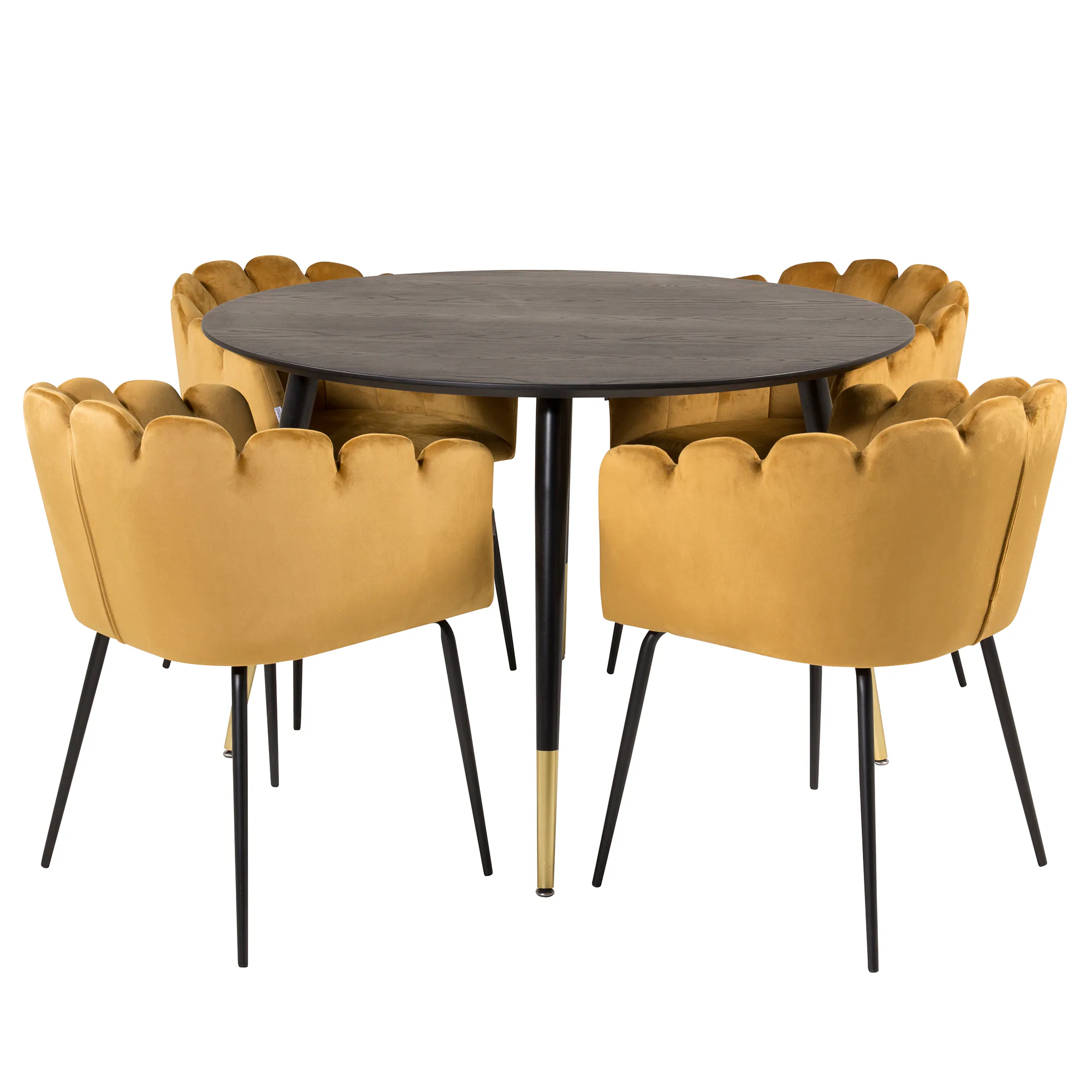 Matgrupp furniture/fashion Disa med 4 Limhamn Stolar