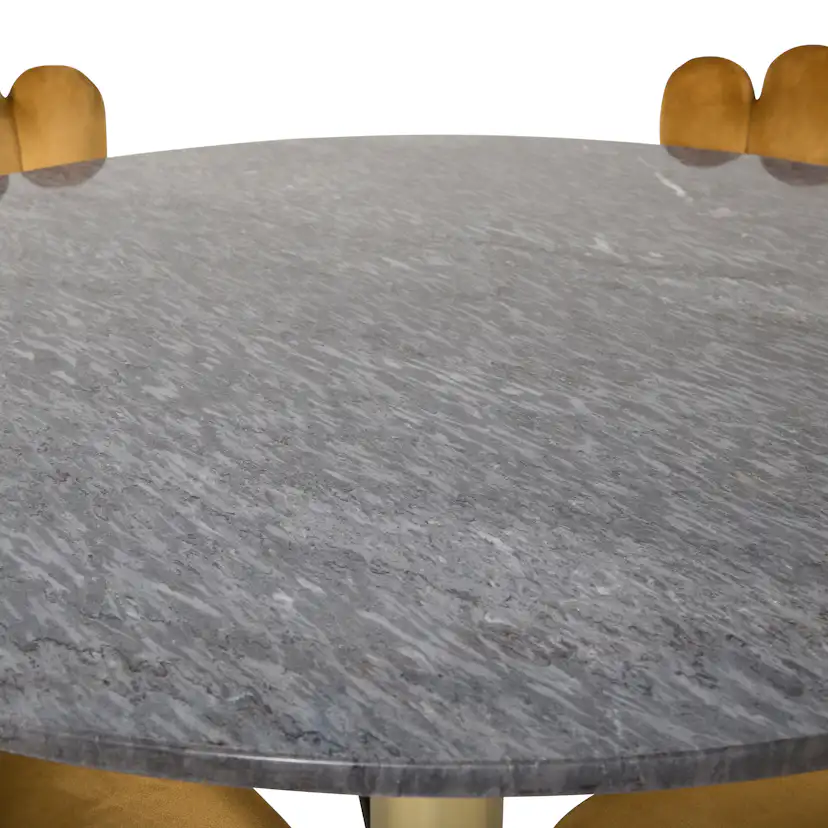 Matgrupp furniture/fashion Ester med 4 Limhamn Light Stolar