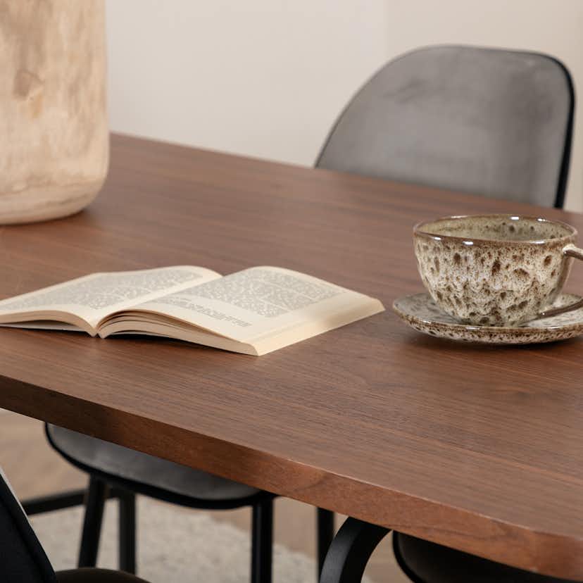 Matgrupp Venture Home Chicago matbord och Elisa matstol