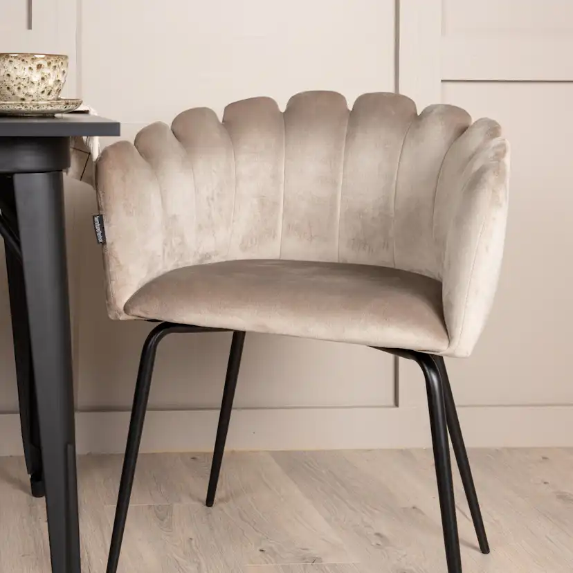 Matgrupp Venture Home Tempe med 2 Limhamn Stolar