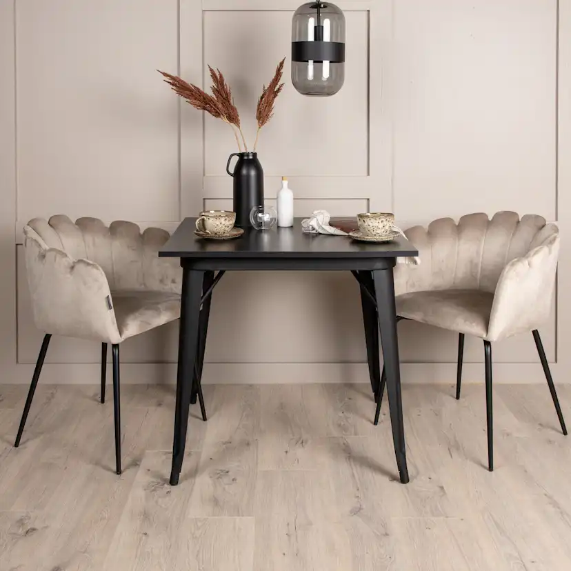 Matgrupp Venture Home Tempe med 2 Limhamn Stolar