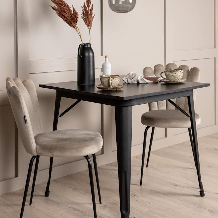 Matgrupp Venture Home Tempe med 2 Limhamn Light Stolar