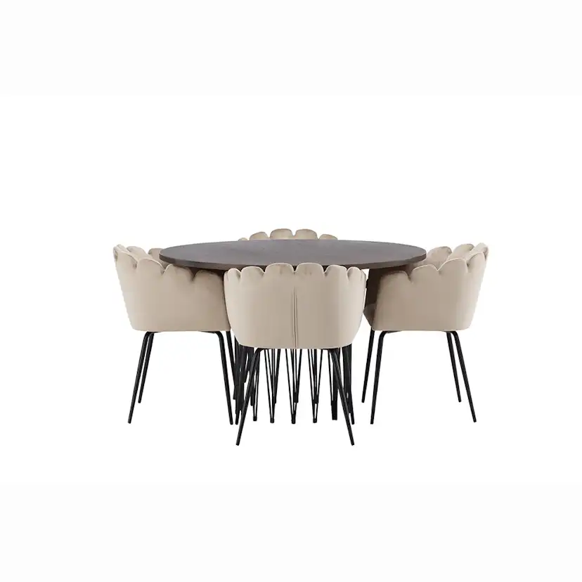 Matgrupp furniture/fashion Stone med 4 Limhamn Stolar Runt