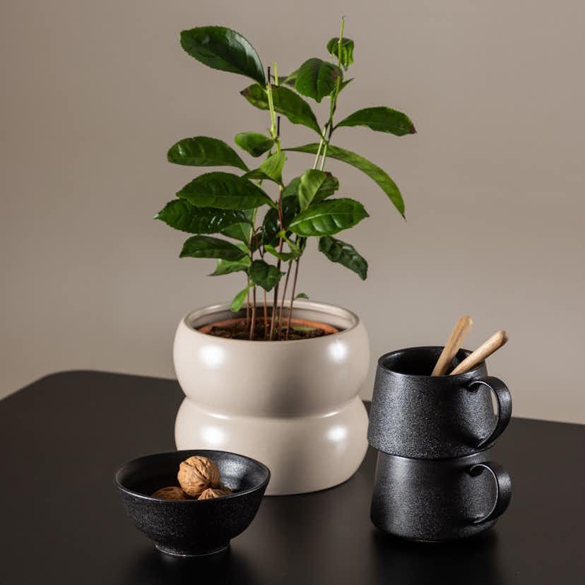 Matgrupp Venture Home Polar 75 med 2 st Polar Stolar Teddy