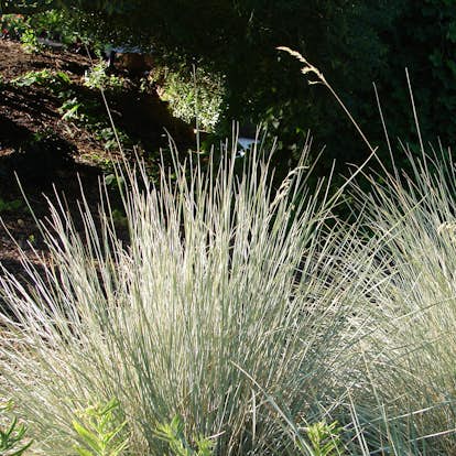 Laminatgolv skötsel Laminatgolv skötsel