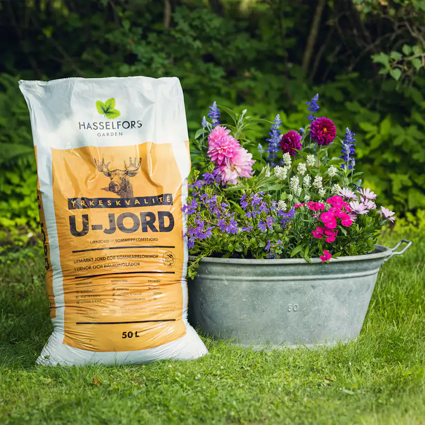 Planteringsjord Hasselfors Garden KRAV-Märkt & Näringstillsatt U-Jord för Blommor & Växter på Pall - 21x50L