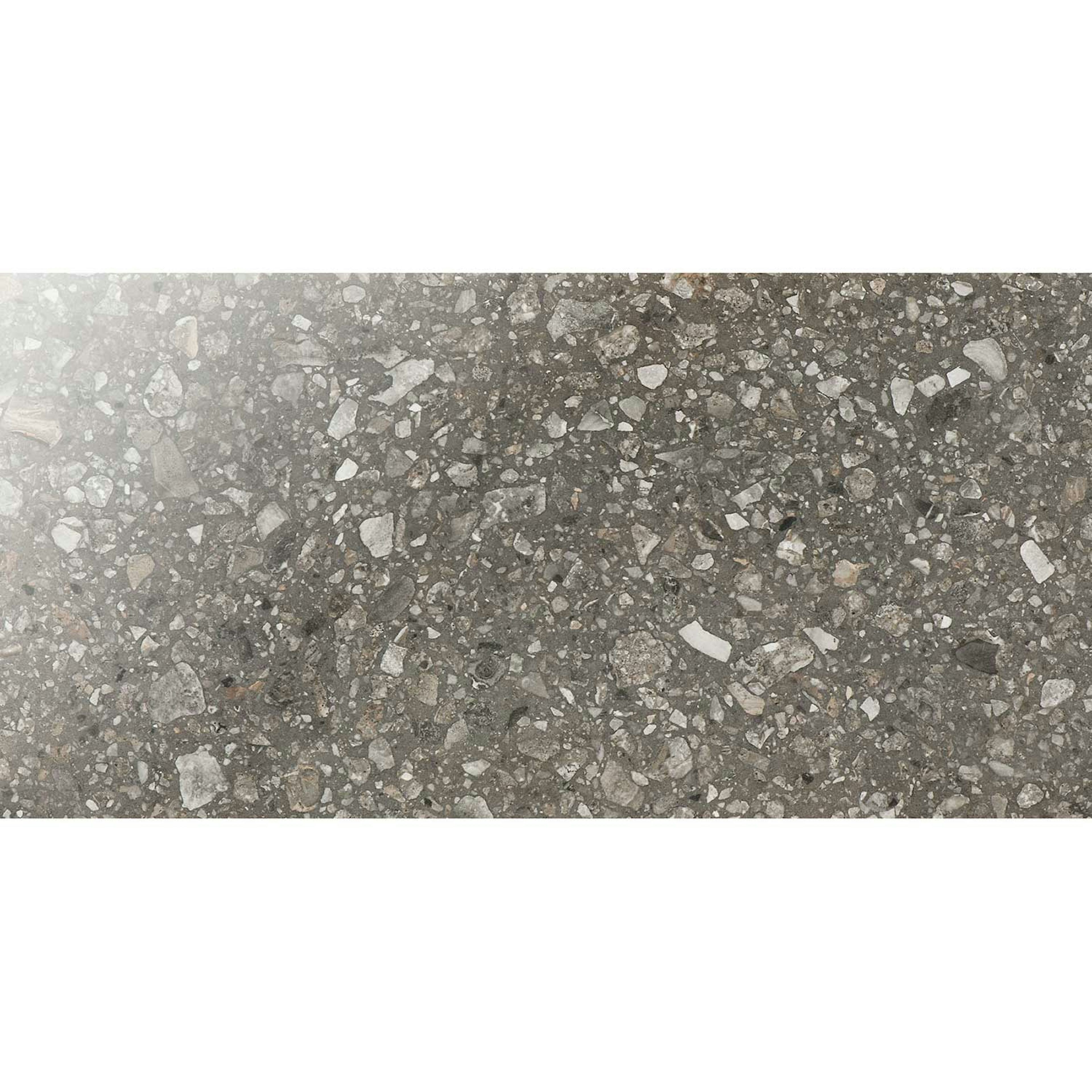 Klinker Bricmate E36 Terrazzo San Polo Polished 30x60 cm