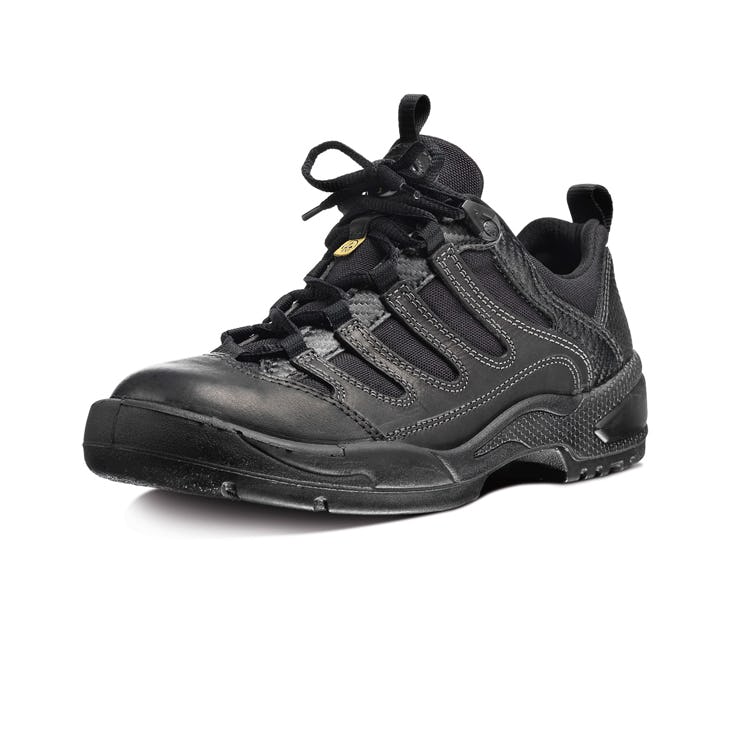 Lågsko Arbesko 1355