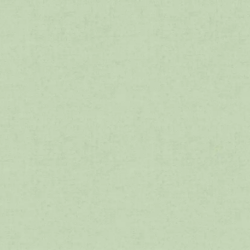 Tapet Duro Linne Ljus Björk 415-20