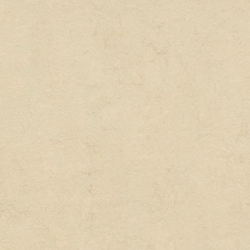 Linoleumgolv Forbo Marmoleum Click Barbados 30x30cm med Klicksystem