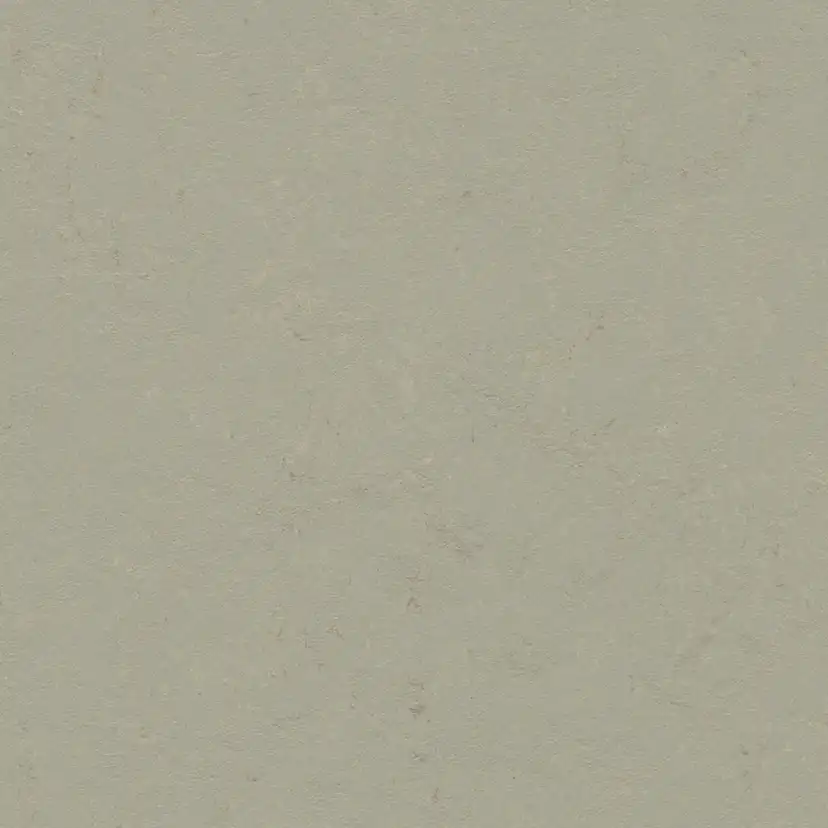 Linoleumgolv Forbo Marmoleum Click Orbit 60x30 cm