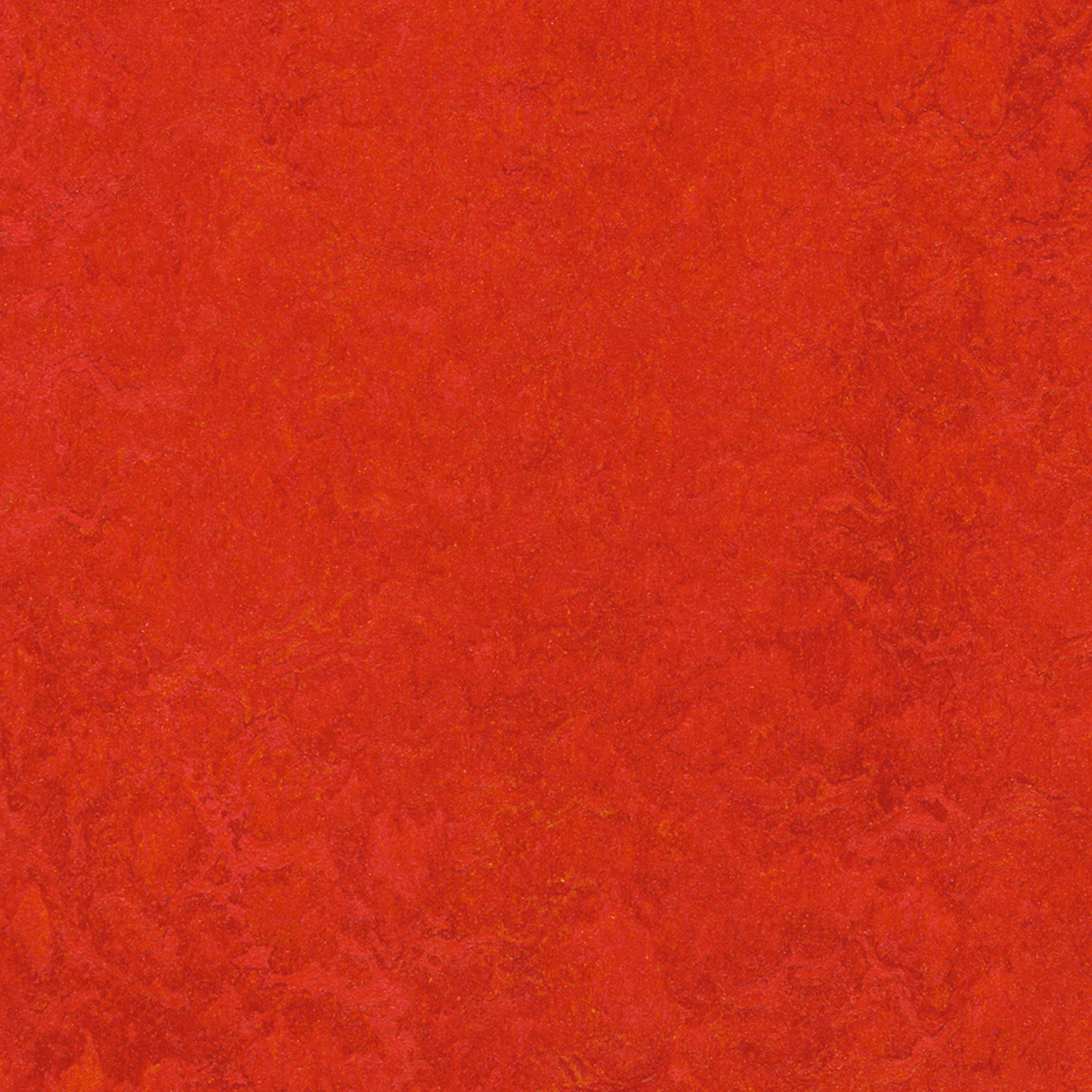 Linoleumgolv Forbo Marmoleum Click Scarlet 30x30cm med Klicksystem