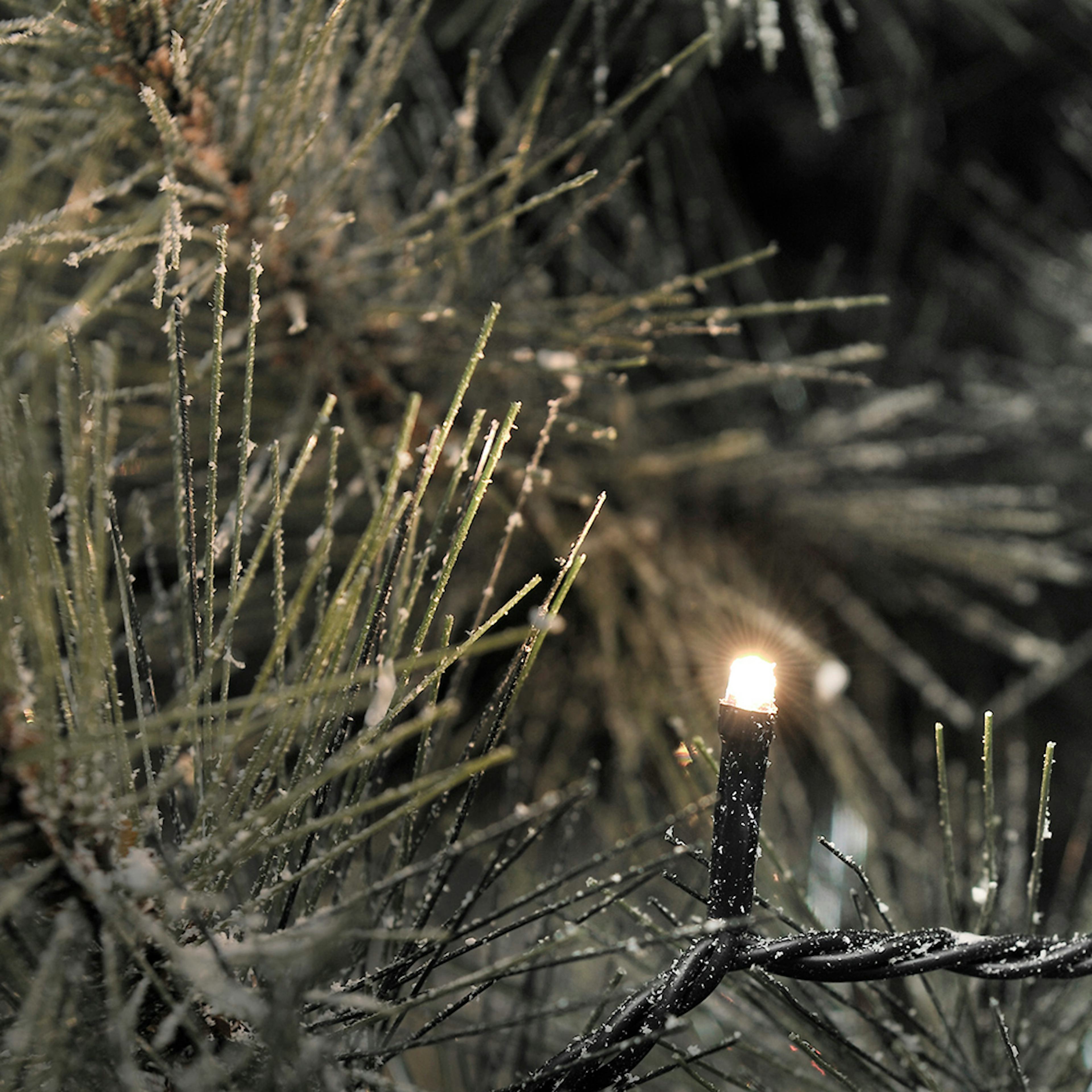 Ljusslinga Gnosjö Konstsmide 40 st Mikro LED 1