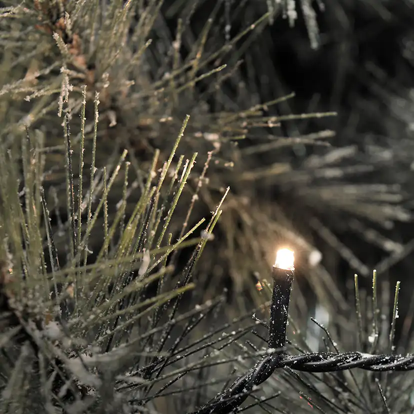 Ljusslinga Gnosjö Konstsmide 40 st Mikro LED 1