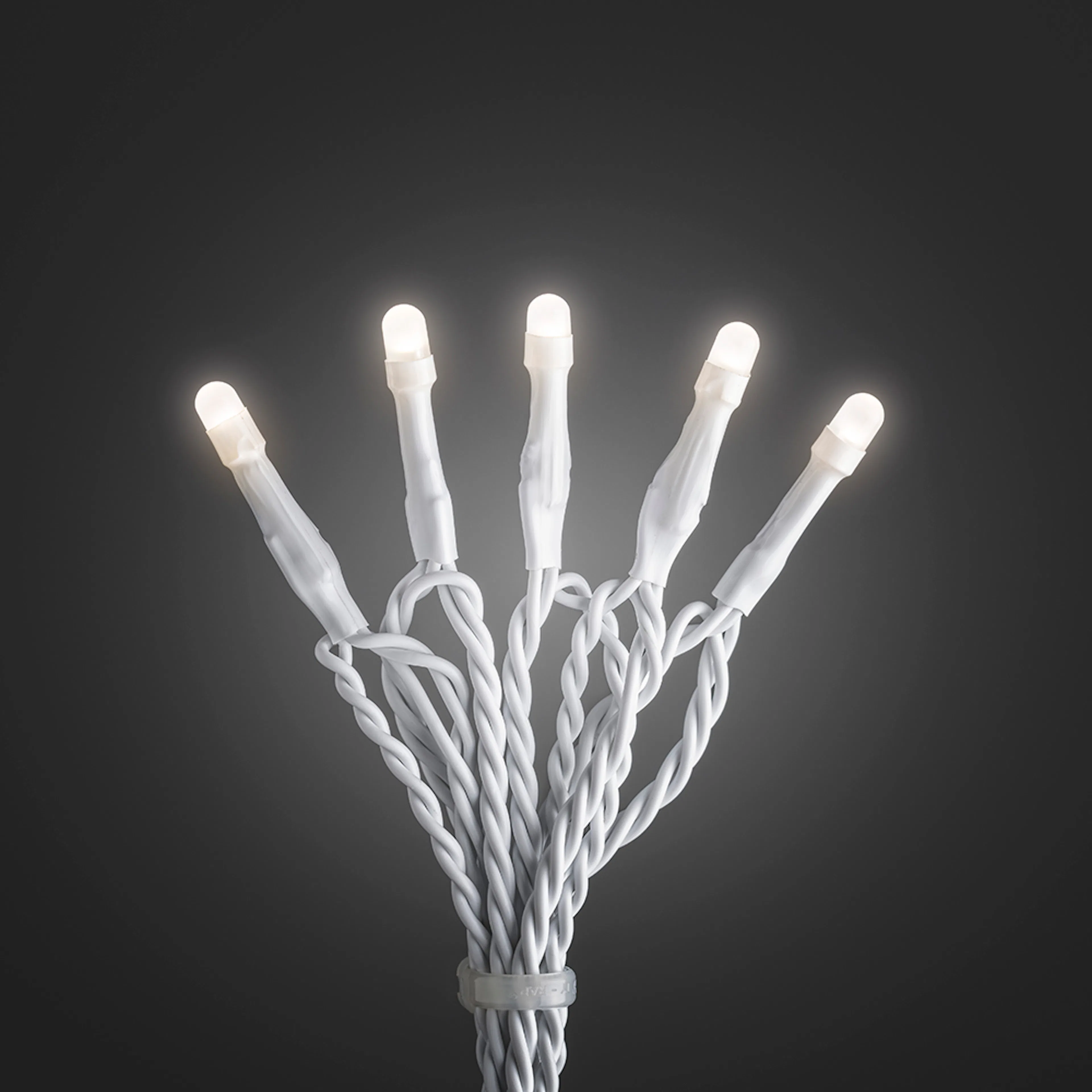 Ljusslinga Gnosjö Konstsmide 80 st Frostad Topp