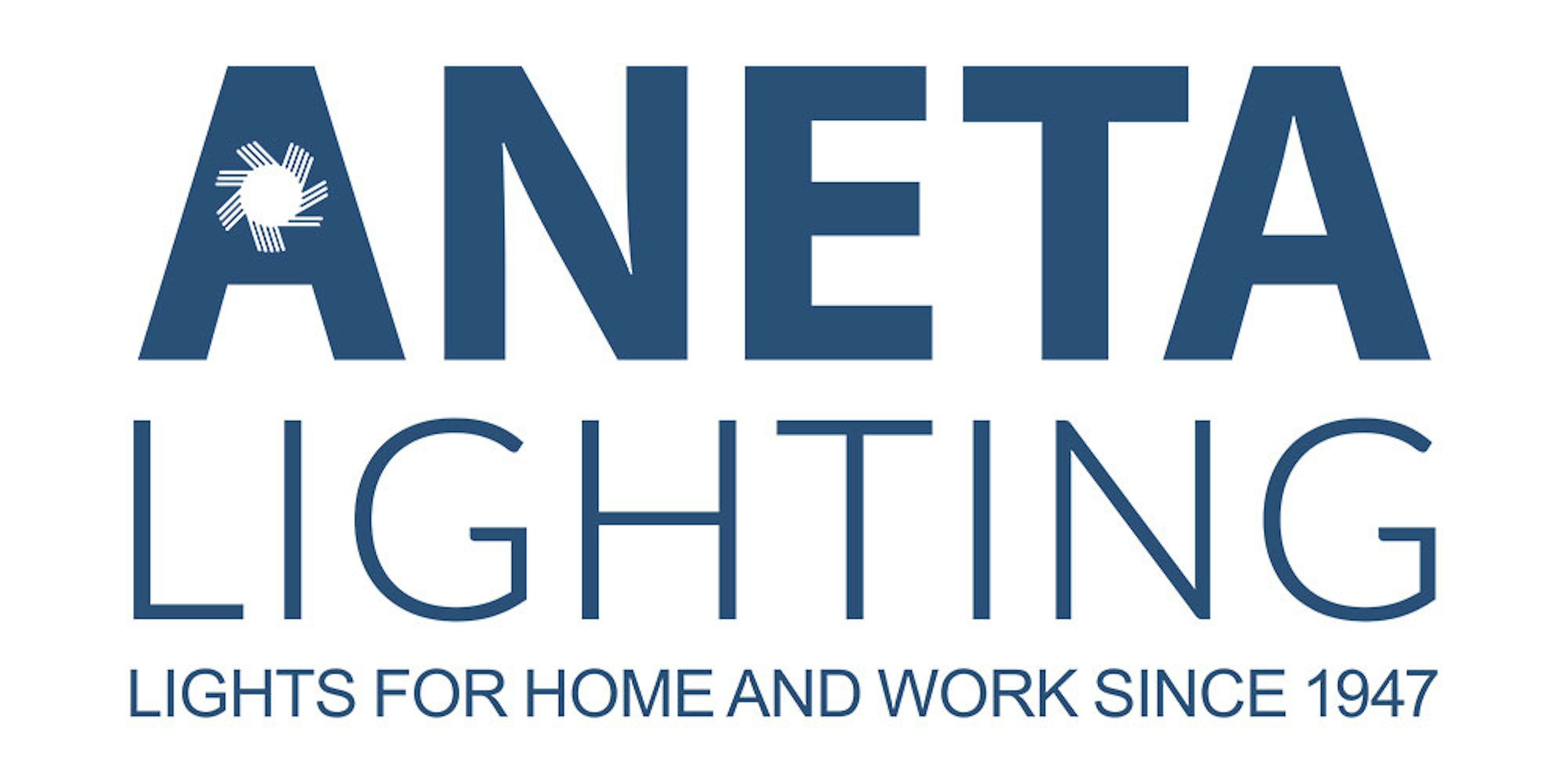 Aneta logo