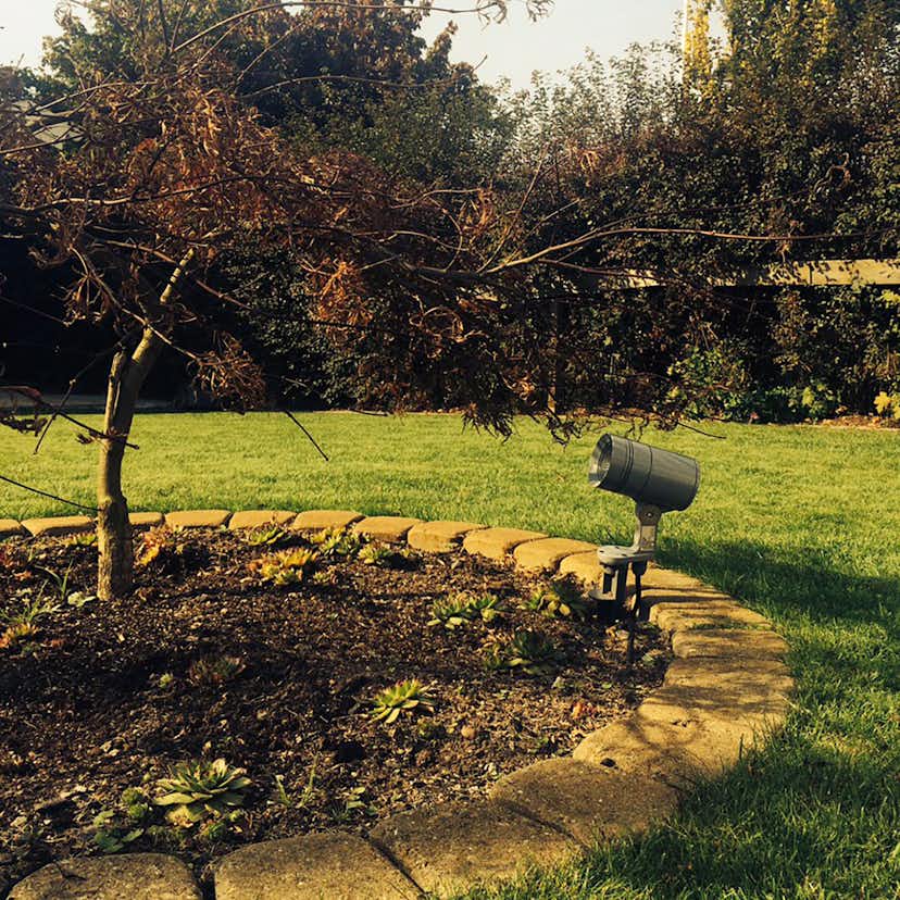 Markspett Westal Lumina LED 8W