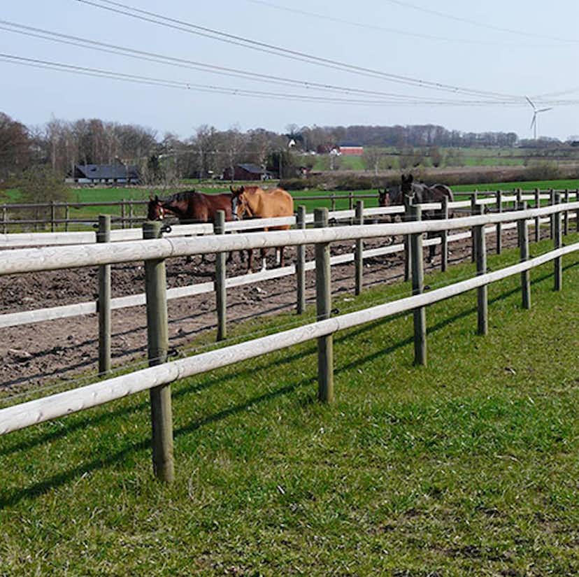 Stolpe Fyrås Trä 75 x75x2000 mm 84 st