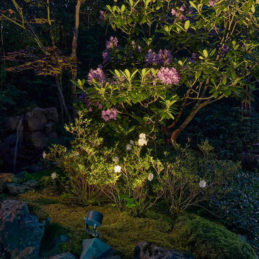 Markspot Norlys Moss