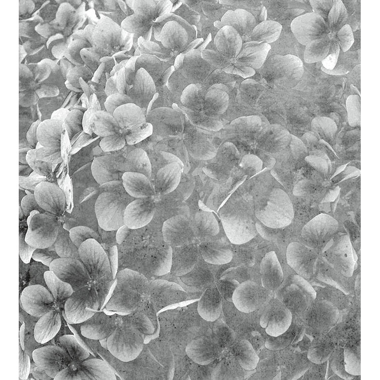 Fototapet Dimex Apple Tree Abstract III