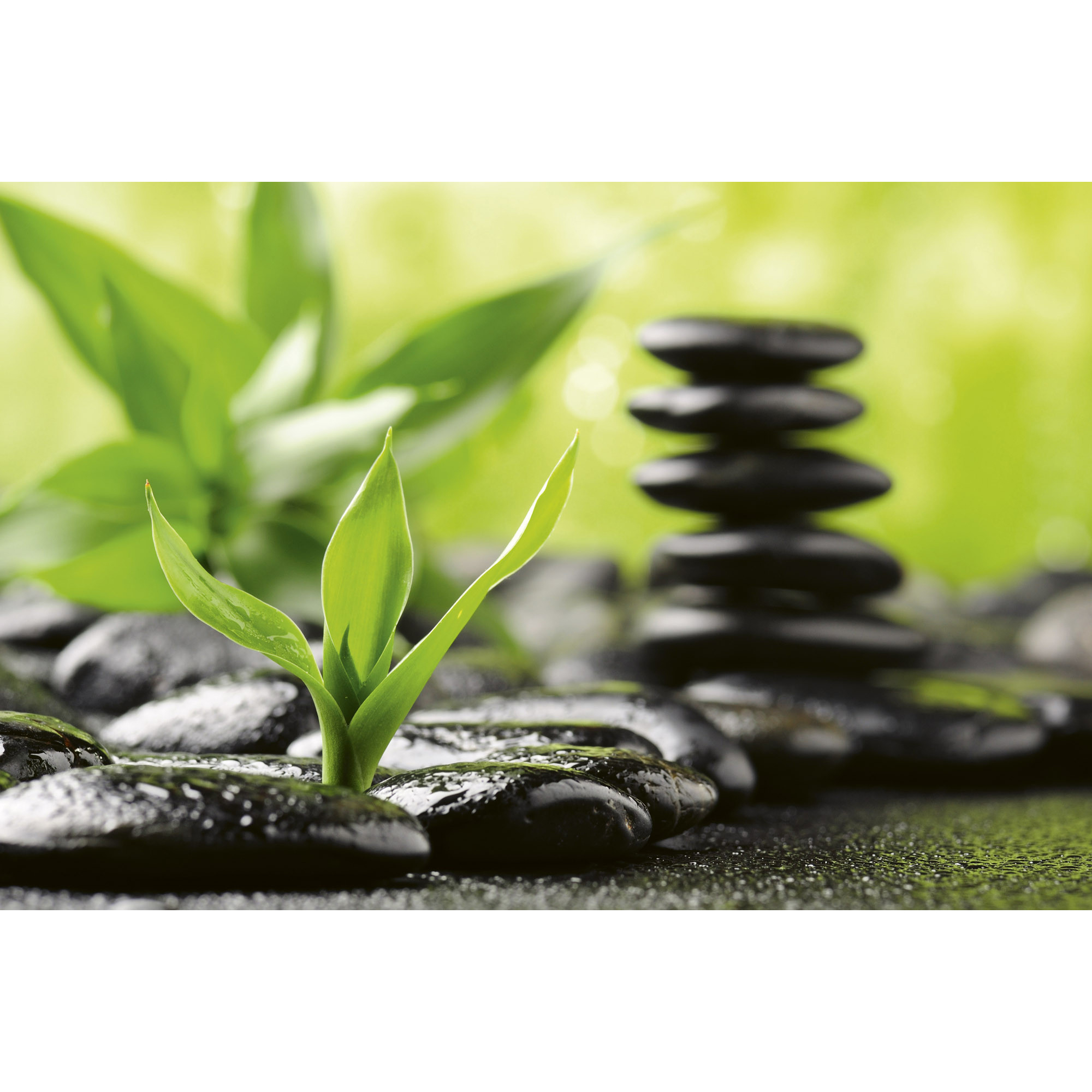 Tapet Dimex Zen Stones