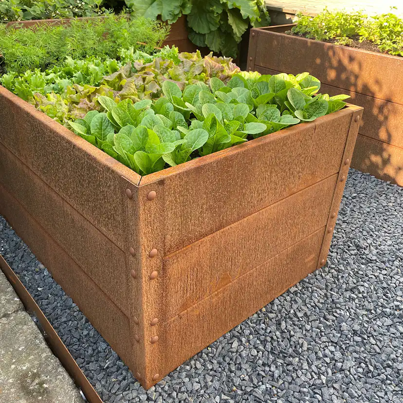 Odlingslåda Flexigarden Cortenplåt 2 mm 800x1200x600 mm